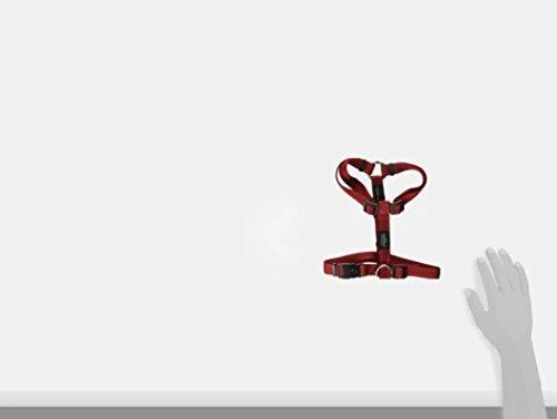 Rogz petnešos atšvaitas šuniui H-Harness Reflective SJ06C (plotis 2cm; apimtis 45-76cm)