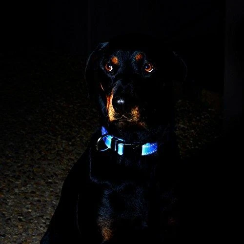 Rogz antkaklis atšvaitas šuniui Reflective HB06B (plotis 2cm; apimtis 34-56cm)