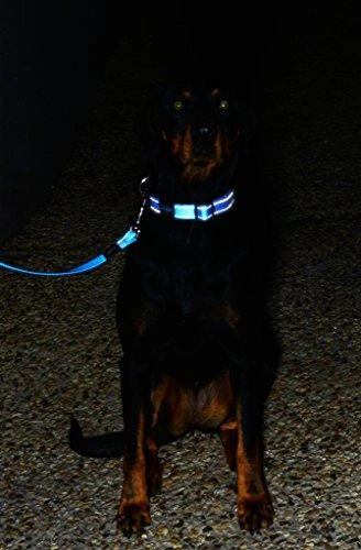 Rogz antkaklis atšvaitas šuniui Reflective HB06B (plotis 2cm; apimtis 34-56cm)