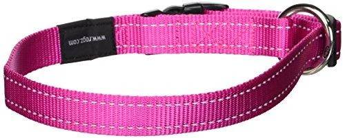 Rogz antkaklis atšvaitas šuniui Reflective HB06K (plotis 2cm; apimtis 34-56cm)