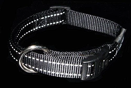 Rogz antkaklis atšvaitas šuniui Reflective HB06A (plotis 2cm; apimtis 34-56cm)