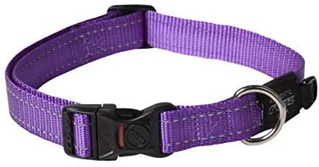 Rogz antkaklis atšvaitas šuniui Reflective HB06E (plotis 2cm; apimtis 34-56cm)