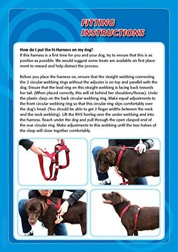 Rogz petnešos atšvaitas šuniui H-Harness Reflective SJ11C (plotis 1,6cm; apimtis 32-52cm)