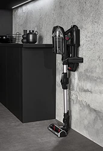 Dulkių siurblys Rowenta RH9958