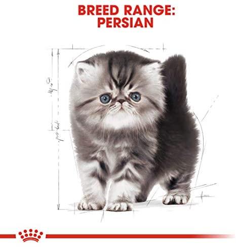Royal Canin Persian Kitten 400g