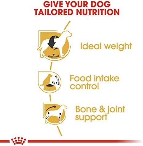 Royal Canin BHN Beagle 12kg