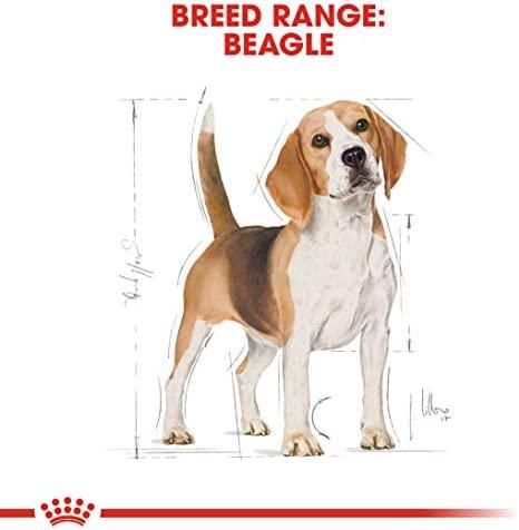 Royal Canin BHN Beagle 12kg