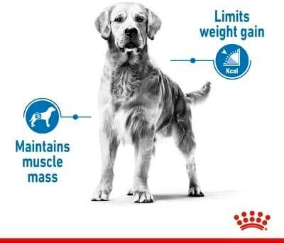 Royal Canin Maxi Light Weight Care Sausas Maistas šunims, 12 kg