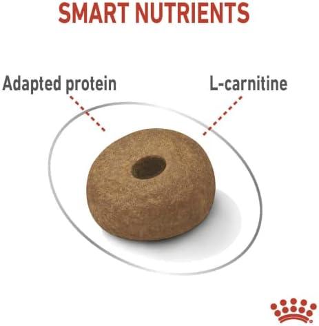 Royal Canin Maxi Light Weight Care Sausas Maistas šunims, 12 kg