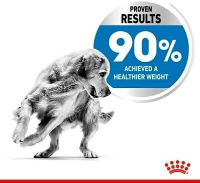 Royal Canin Maxi Light Weight Care Sausas Maistas šunims, 12 kg