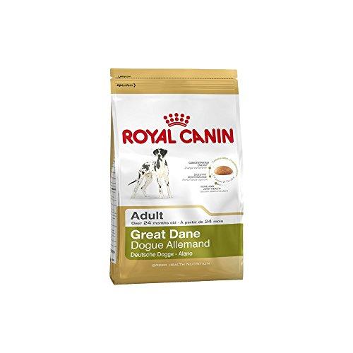 Royal Canin Great Dane Adult 12kg