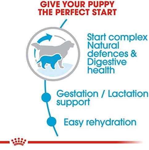 Royal Canin Giant Starter Mother & Babydog 15kg