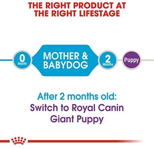 Royal Canin Giant Starter Mother & Babydog 15kg