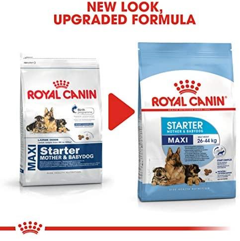 Royal Canin Maxi Starter 15kg