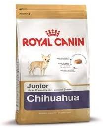ROYAL CANIN Chihuahua junior 500g, čihuahua veislės jaunų šunų sausas pašaras