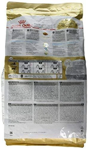 Royal Canin British Shorthair 4kg
