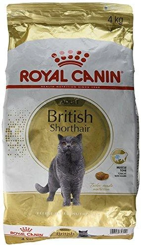 Royal Canin British Shorthair 4kg