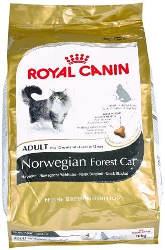 Royal Canin Norwegian Forest Cat 10kg
