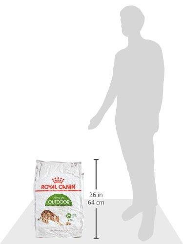 Royal Canin lauko 10 kg