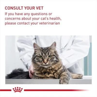 Royal Canin Digestive Care 10kg