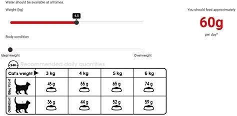 Royal Canin Hairball Care 10kg