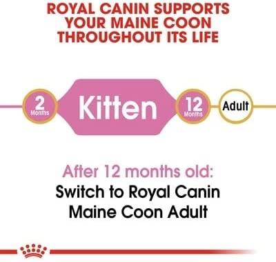 Royal Canin Maine Coon kačiukas 10kg