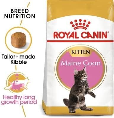 Royal Canin Maine Coon kačiukas 10kg