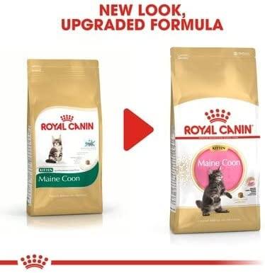 Royal Canin Maine Coon kačiukas 10kg