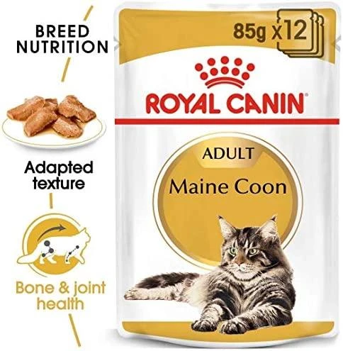 Royal Canin FBN Cat Maine Coon padažas 12x85 g