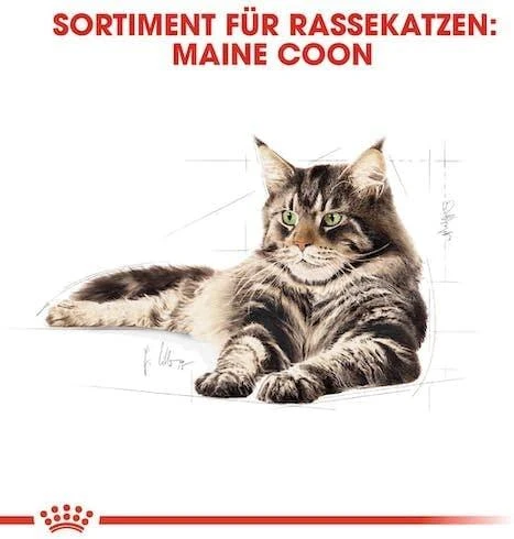 FBN Cat Maine Coon padažas 12x85 g