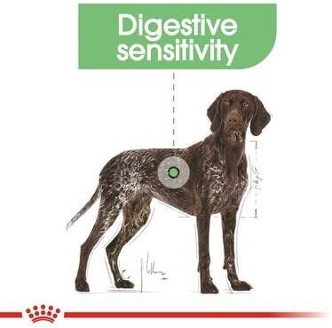 Royal Canin Maxi Digestive Care 12kg