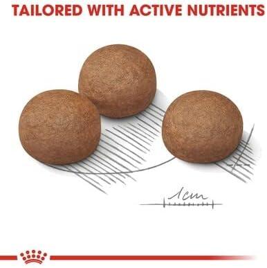 Royal Canin Maxi Digestive Care 12kg