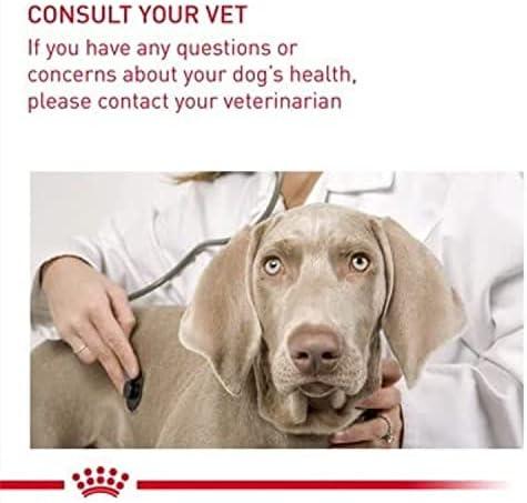 Royal Canin CCN Digestive Care Medium šunims 12kg