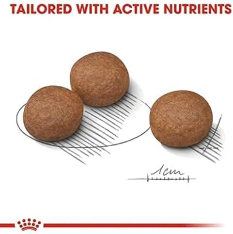 Royal Canin CCN Digestive Care Medium šunims 12kg