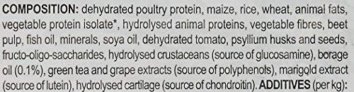 Royal Canin auksaspalvis retriveris suaugęs 12kg