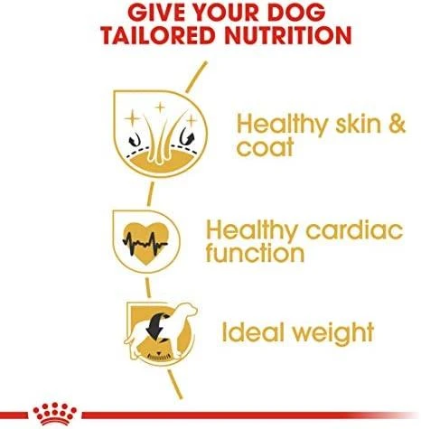 Royal Canin auksaspalvis retriveris suaugęs 12kg