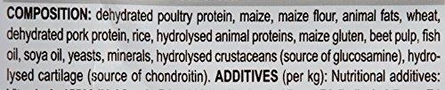 Royal Canin Maxi Adult 15kg