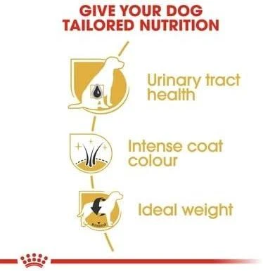 Royal Canin Miniature Schnauzer Adult 3kg