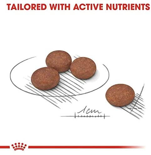 Royal Canin Mini Digestive Care 8kg