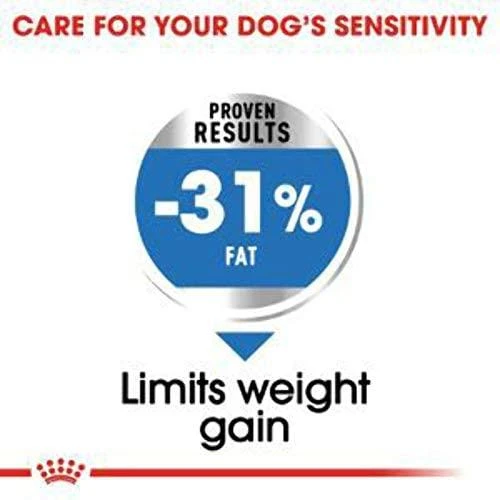 Royal Canin Mini Light Weight Care sausas maistas suaugusiems šunims, mažoms veislems su tendencją antsvoriui 3kg