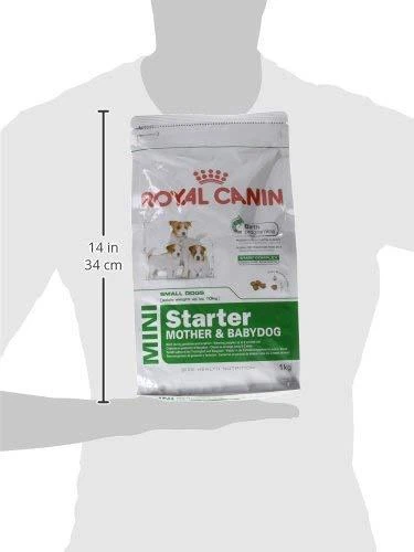 Royal Canin Mini Starter Mother & Babydog 1kg