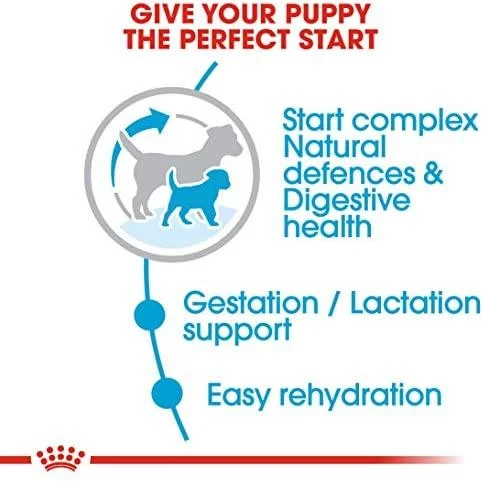 Royal Canin Mini Starter Mother & Babydog 1kg