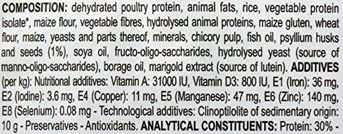 Royal Canin Persian Adult 4kg