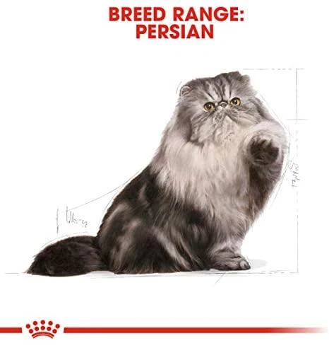Royal Canin Persian Adult 4kg