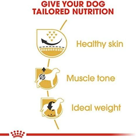 ROYAL CANIN Pug Adult Sausas ėdalas suaugusiems šunims, 1,5kg