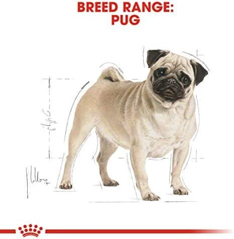 ROYAL CANIN Pug Adult Sausas ėdalas suaugusiems šunims, 1,5kg