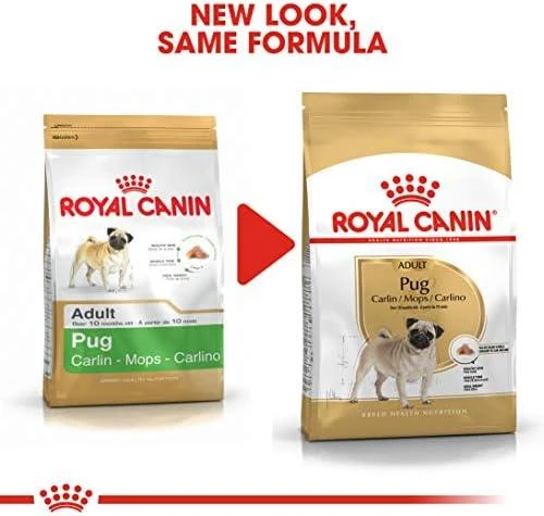 ROYAL CANIN Pug Adult Sausas ėdalas suaugusiems šunims, 1,5kg