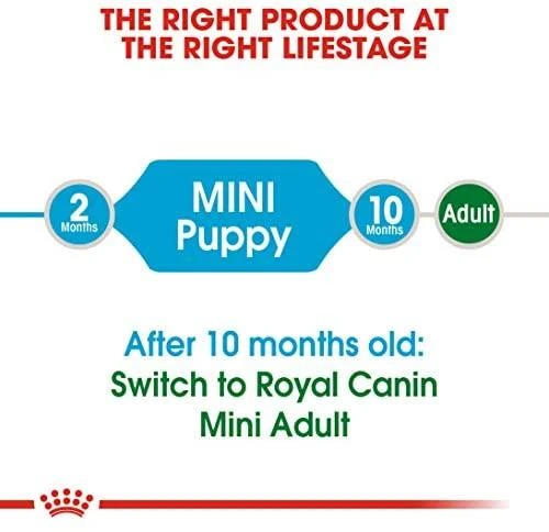 Royal Canin Mini Junior 800g