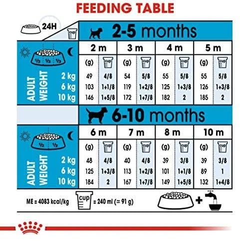 Royal Canin Mini Junior 800g