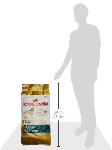Royal Canin auksaspalvis retriveris suaugęs 12kg